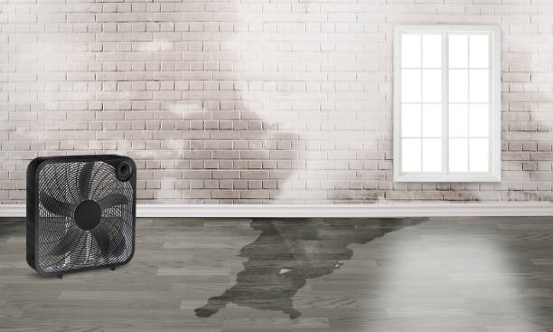 Best Carpet water damage restoration  in Center, TX
