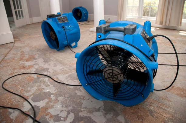 Best Commercial water damage restoration  in Center, TX